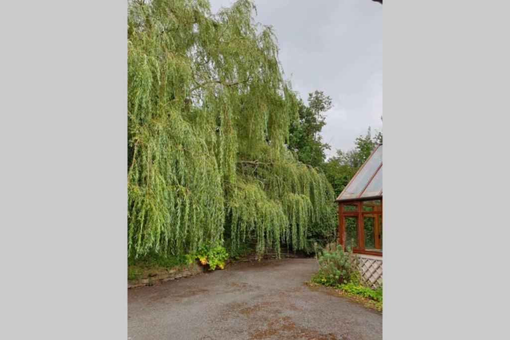 Willow Lodge Abergavenny Exterior foto